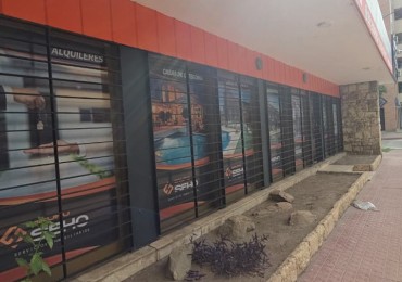 Propiedad Unica, Uso Comercial
